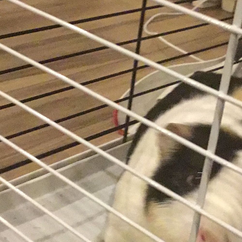 Meet your Posher, Kathy